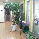 참조은유치원 이미지