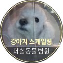 힐 동물병원 이미지