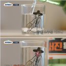 박물관뮤지엄샵