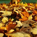 리틀가우디미술학원 이미지