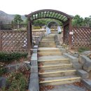 장미원 (산림욕장) 이미지