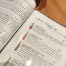 와쇼쿠 산고 이미지