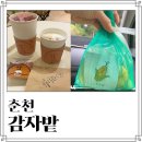 신샘밭로2 | 춘천 카페 감자밭 내돈내산 감자빵 초당옥수수빵 솔직후기 보관방법
