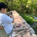 속리산숲체험휴양마을 이미지