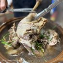 [전주 맛집] 팔복동 맛집 &#34;동원추어탕&#34; 몸 보신 옻닭뿌시기!