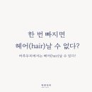 하루두피 대전유성점 이미지