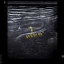 세브란스내과의원 이미지