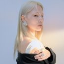원사이트컴퍼니 이미지