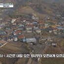 자연보검 이미지