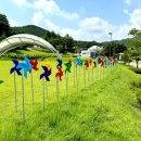 [강원도 영월군] KOICA 월드프렌즈빌리지