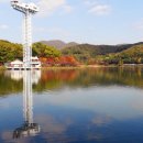 율동공원 Daum카페