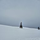 승리카 | [삿포로 2일차-1편] 삿포로 비에이 렌트카 여행🚗 JR 기차표 싸게 끊는 법 &amp; 킹베어 스프카레 솔직후기