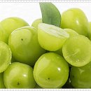 중랑퍼스트치과의원 네이버블로그