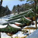 ♣2/2(일)노인봉과 오대산 비로봉 2산과 또는 오대산 종주 눈꽃산행 이미지