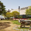 목포자연사박물관 이미지