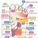 척추지압교정원 이미지