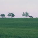 단아농장 이미지