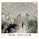 성수기 | 대전 라도무스 아시시홀 하객 후기(일요일, 성수기, 뷔페)