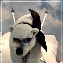 제주테디베어뮤지엄 이미지