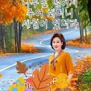 낙원세탁소 이미지