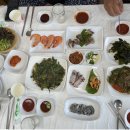 회뜨는바다 | 삼척 장호항 횟집 솔직 후기｜‘해뜨는집’ 모듬회 저녁, 바다 보며 힐링한 여름밤