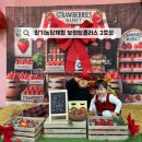 플러스농장2 이미지