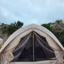 감성돼지 - 달성군 과학마을로4길 7-6 | 제주캠핑식당 코티지그릴 🏕 제주 한림흑돼지 감성 터지는 고깃집 후기