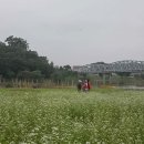 피어나공주 Daum카페