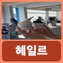 소프트마을(주) | 부산 흰여울마을 카페 영도구 맛집 블루리본 헤일르 내돈내산 후기