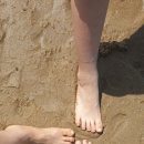 바닷길 풍경 | 서해의 기적, 안산 탄도항 바닷길: 물때 확인법부터 인생샷 명소까지 총정리!