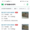 산타클라라동물병원 이미지