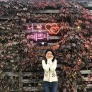 샐러뷰 이미지