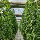 김철수농장 이미지