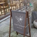 카스타니아 castanea