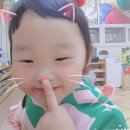 서율 이미지