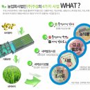 농업회사법인(주)주성 이미지