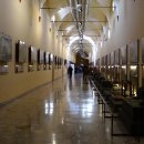 밀라노피자 Daum카페