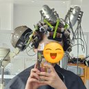 사당역 미용실 추천 : 벨리븐헤어 히피펌 후기