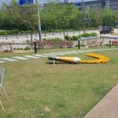 지니스안경효자