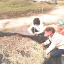 태양마을 이미지