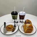 스칼라독스 이미지