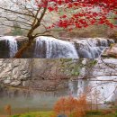 조마루로85번길 18 | 철거 현장의 소음 속에서 발견하는 계곡의 고요함과 그 이면의 이야기