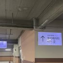 구산네 한식뷔페 | 부산 뷔페 더파티 센텀점 내돈내산 저녁런치 후기!