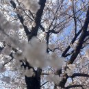 남대천제방길 이미지