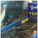 대해수산 | 노량진수산시장 대해수산 노량진맛집 흥정 스트레스 없는 곳