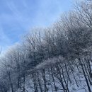 정환목장 이미지