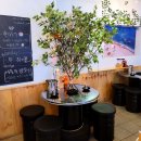 바다를 훔친 언니 이미지