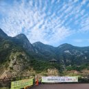 포도향이흐르는마을 | 충북 영동 월류봉 둘레길 8.5km 난이도 쉬움 트래킹(주차, 택시 정보)