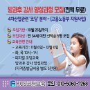 KCS코딩교육