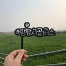 팜팜 이미지